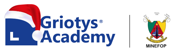 Griotys-Academy-formation-professionnelle-agreement-minefo-noelp